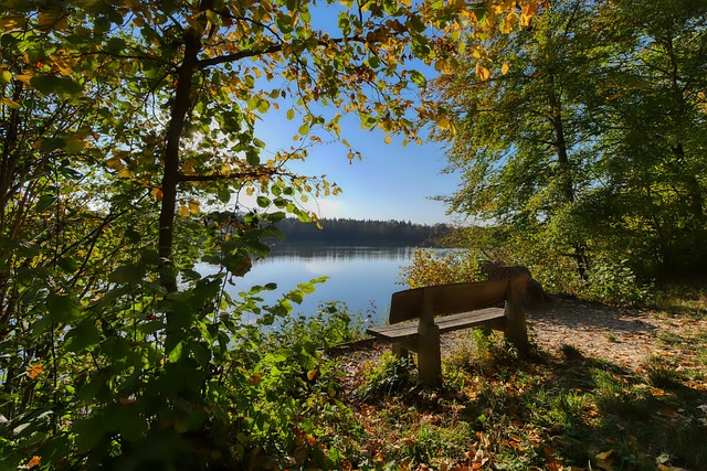 里德谈拜仁兴趣：队友会拿这事开玩笑，这不会分散我的注意力
